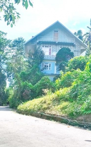 Daffodil Homestay